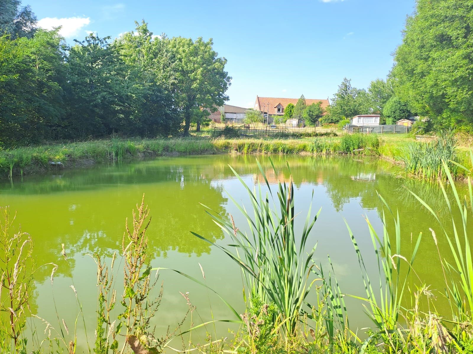 A scenery from Camping La Papelutte