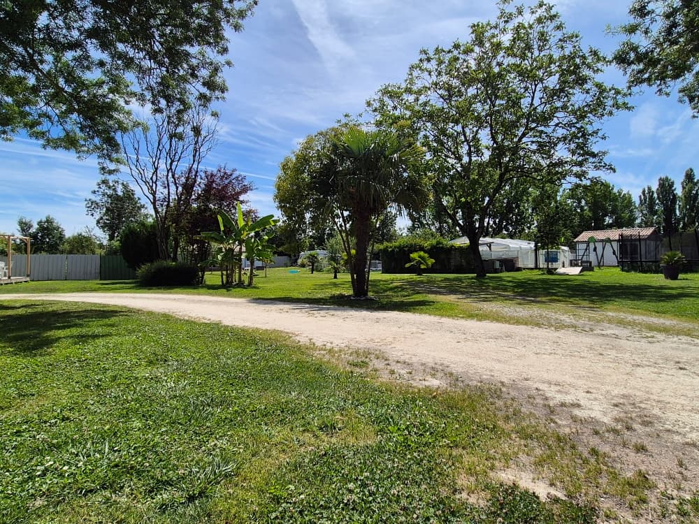 A scenery from Camping Naturiste du Port