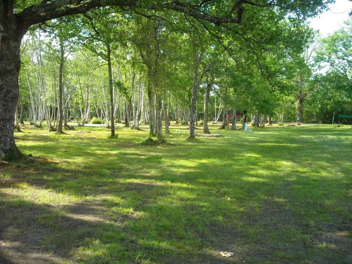 A scenery from Campings Liberté - Lacanau