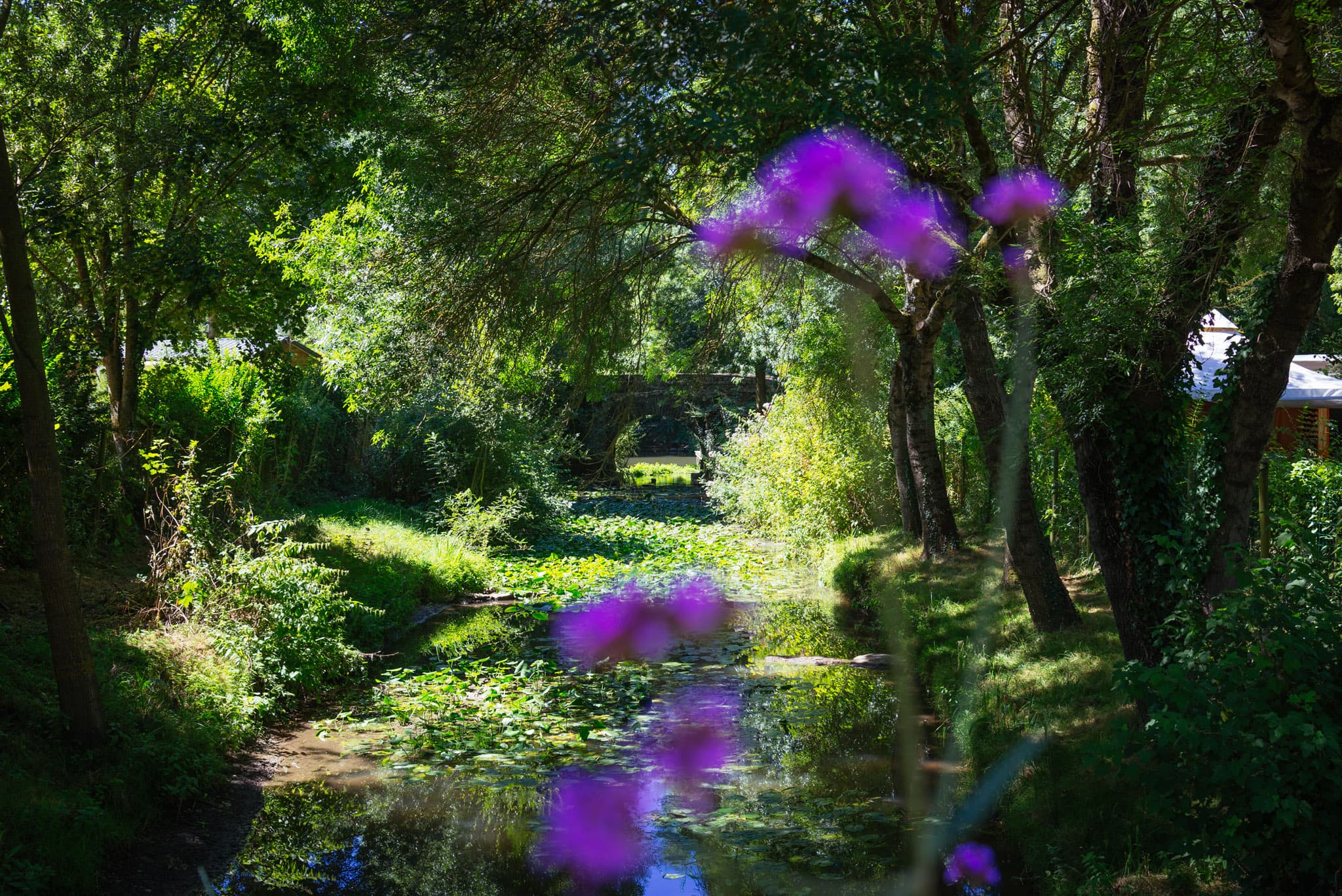 A scenery from Camping de l'Etang Sites et Paysages