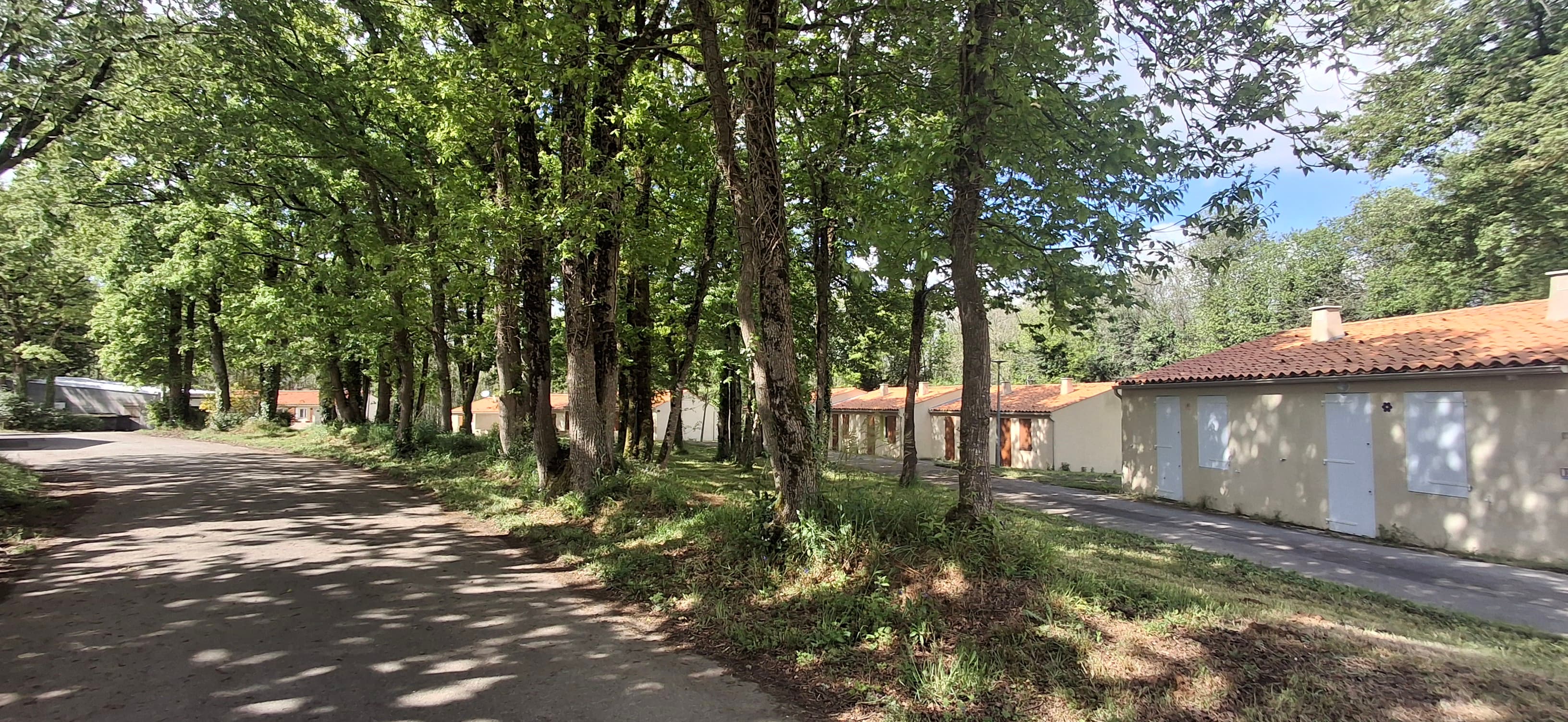 Camping Couleurs Vendée – foto 3