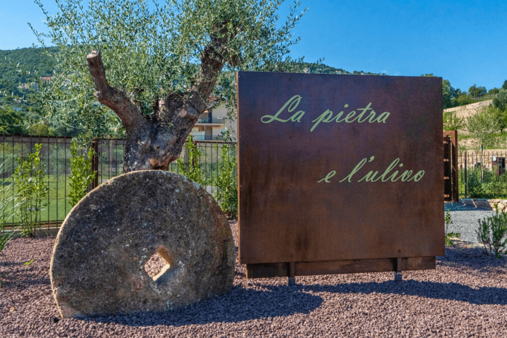 A scenery from Agricamping La Pietra e l'Ulivo