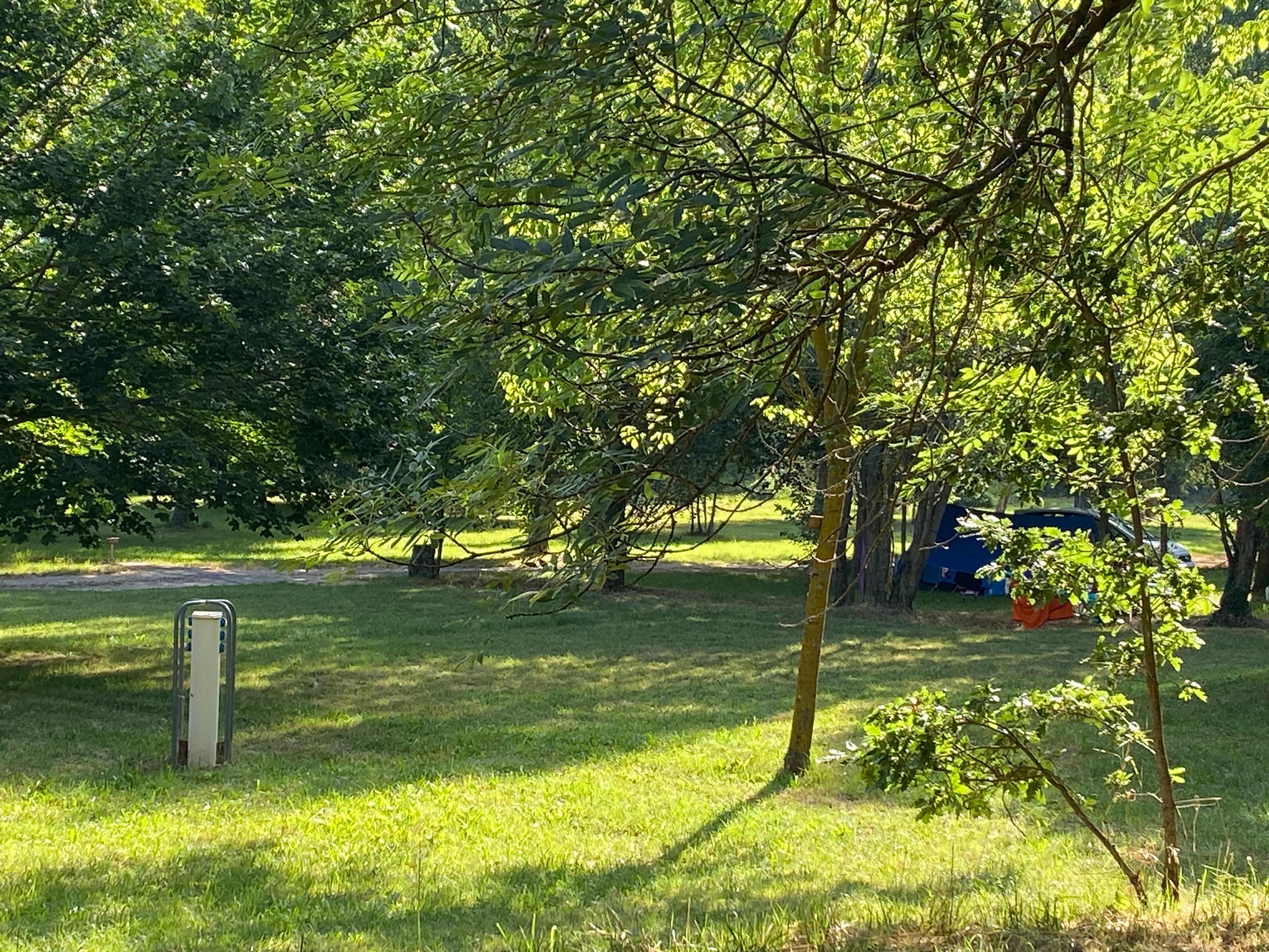 A scenery from Camping Des Deux Séquoias