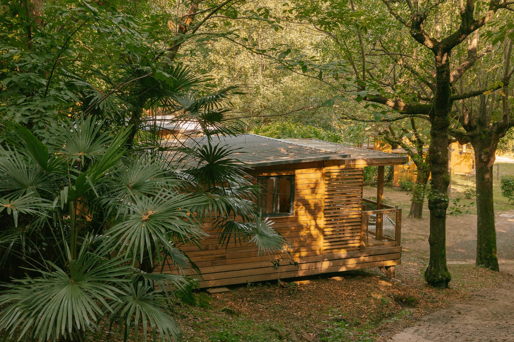 A scenery from Slow Village | Anduze