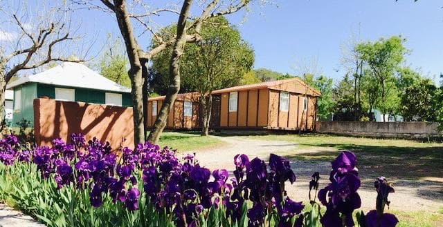 A scenery from Capfun - Camping Le Fréjus
