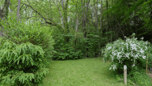 A scenery from Camping des Combrailles