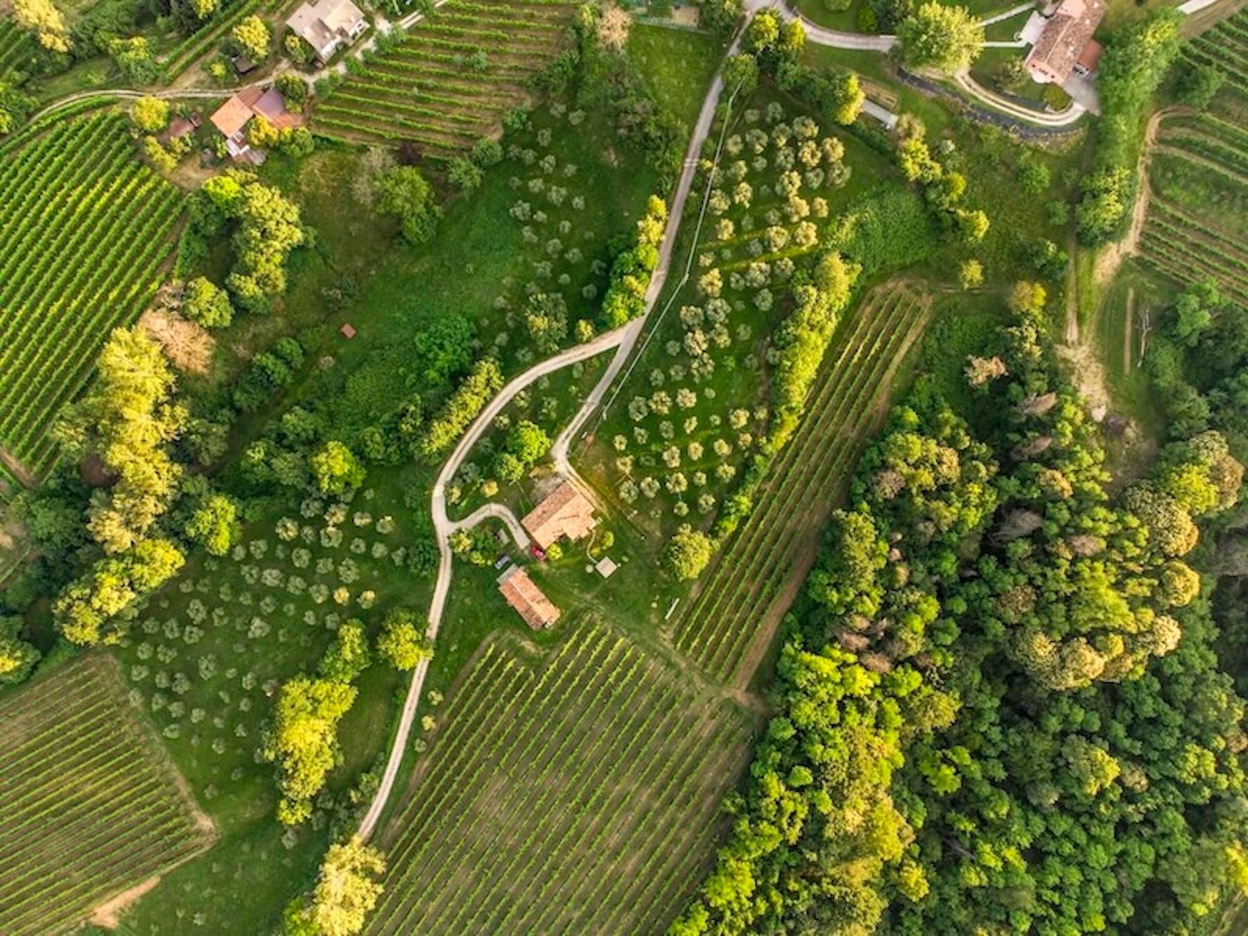 A scenery from Agricampeggio Bosco di Marino