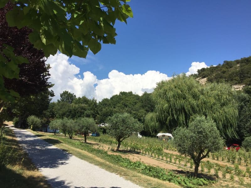 A scenery from Camping Le Vallon des Oiseaux