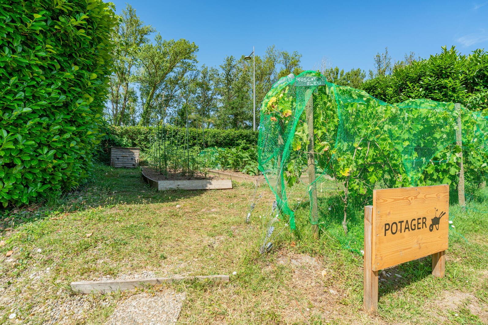 A scenery from Camping Homair - L'Ile du Rhin