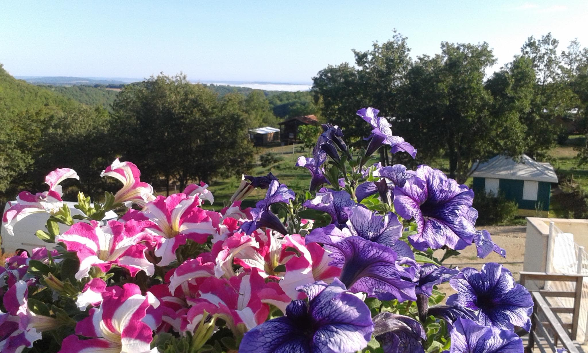 A scenery from Camping Ohana