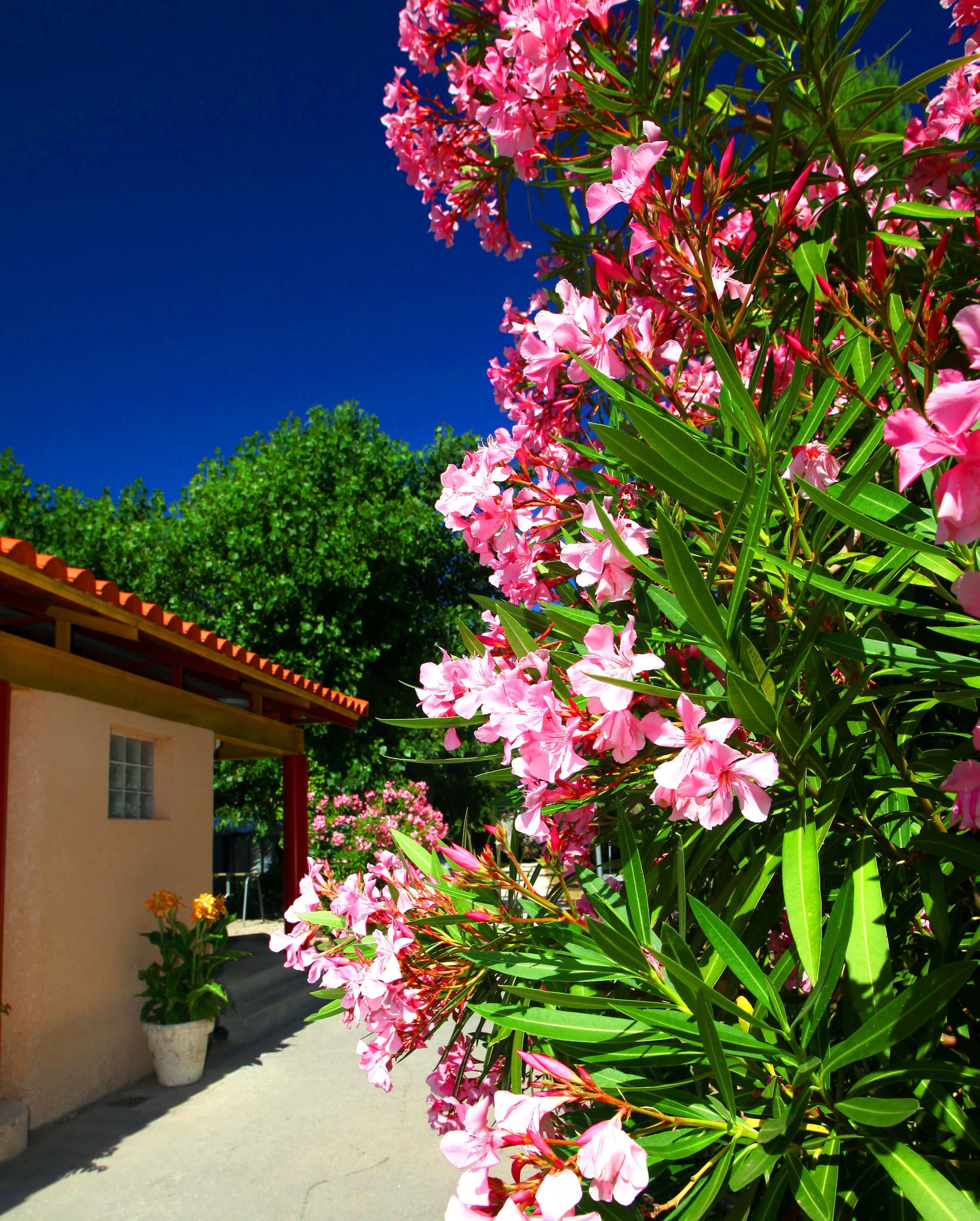 A scenery from Camping Catalan