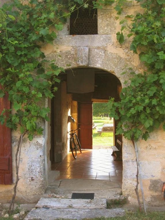 A scenery from Chateau Guiton