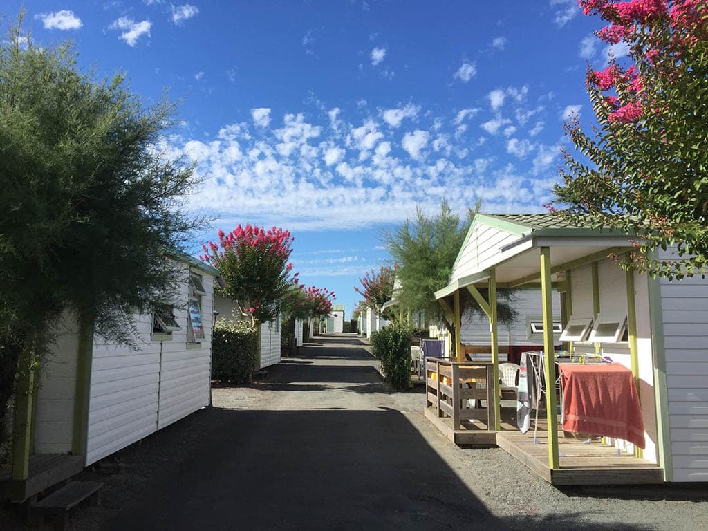 A scenery from Camping Les Tulipes