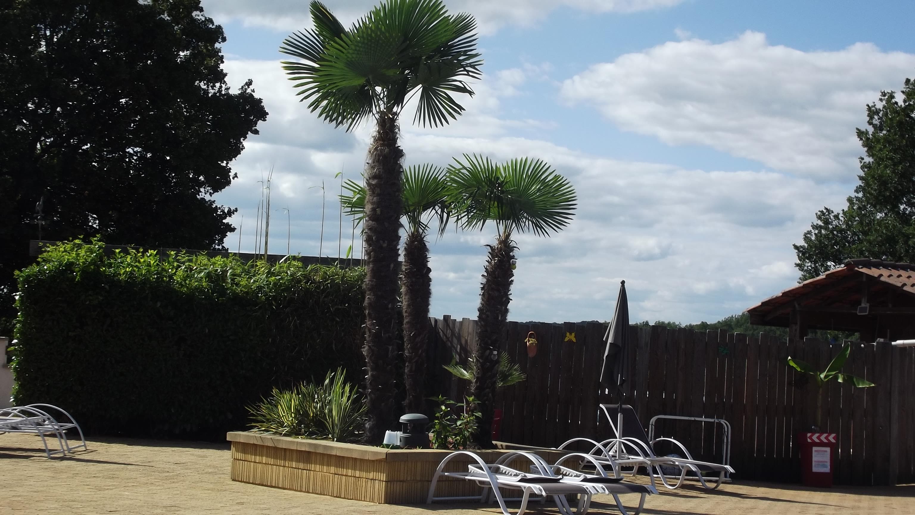 A scenery from Camping AU P'TIT BONHEUR