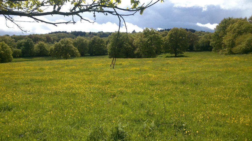 A scenery from Creuse Nature Naturisme