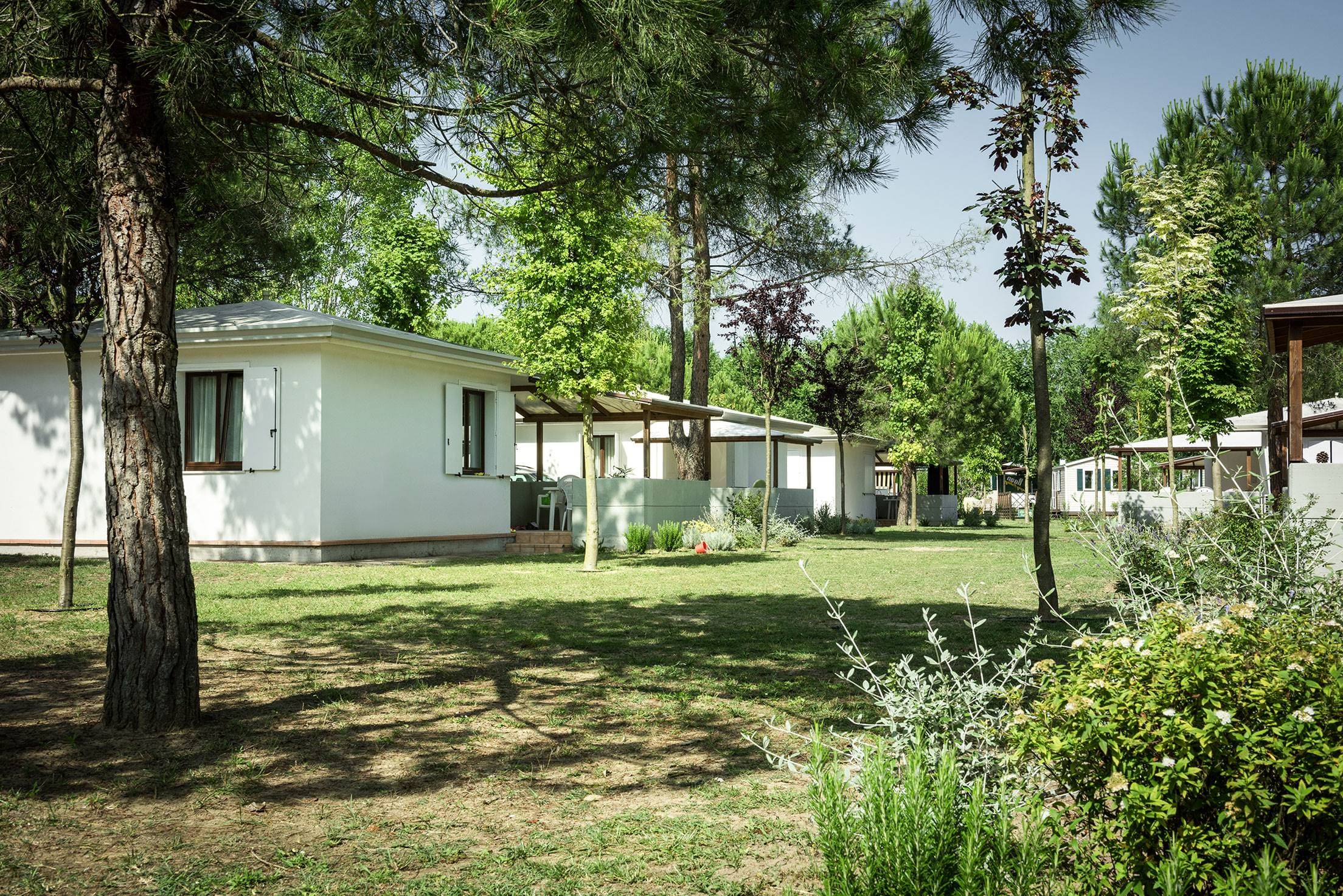A scenery from Camping Ca'Savio