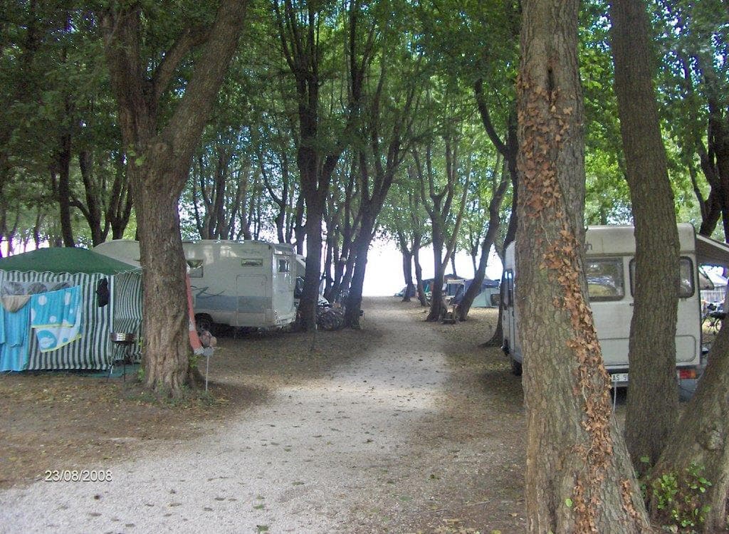 A scenery from Camping Roma Flash