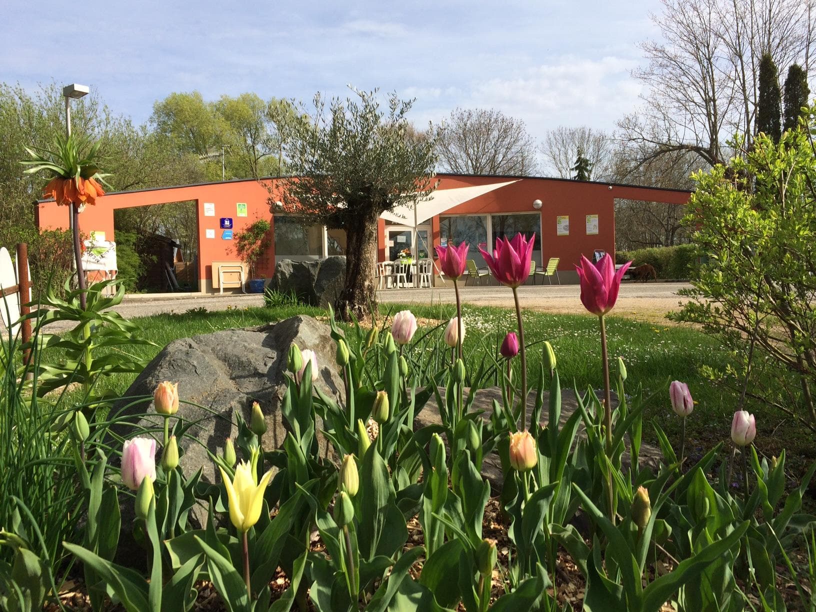 A scenery from Camping Onlycamp L'Etang des Forges