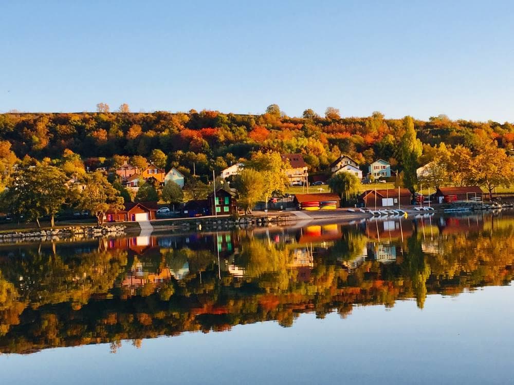 A scenery from Camping Onlycamp L'Etang des Forges