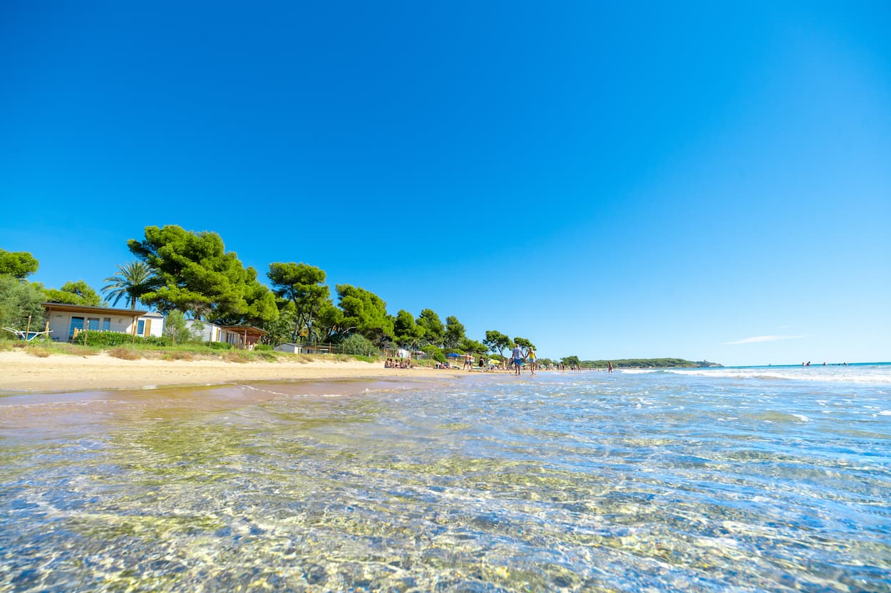 A scenery from Camping Las Palmeras