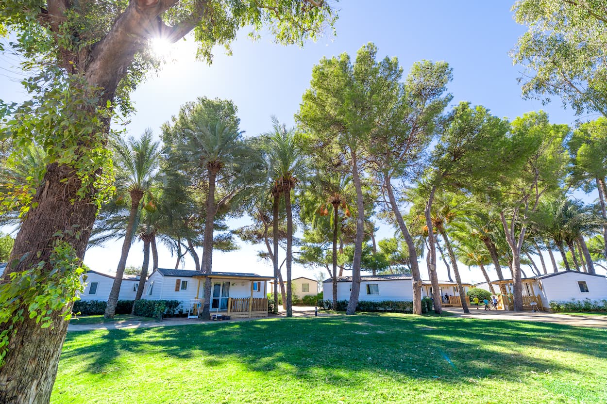 A scenery from Camping Las Palmeras