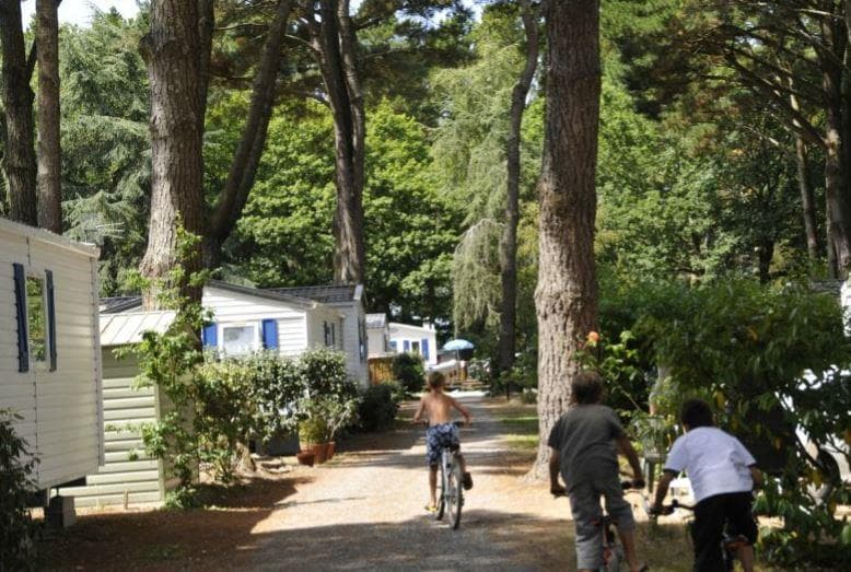 A scenery from Camping Sunêlia le Petit Bois