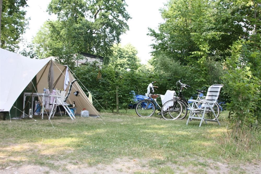 A scenery from Camping de la Forêt