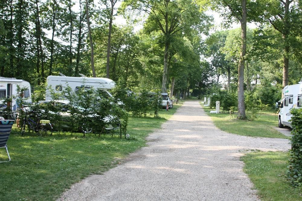 A scenery from Camping de la Forêt