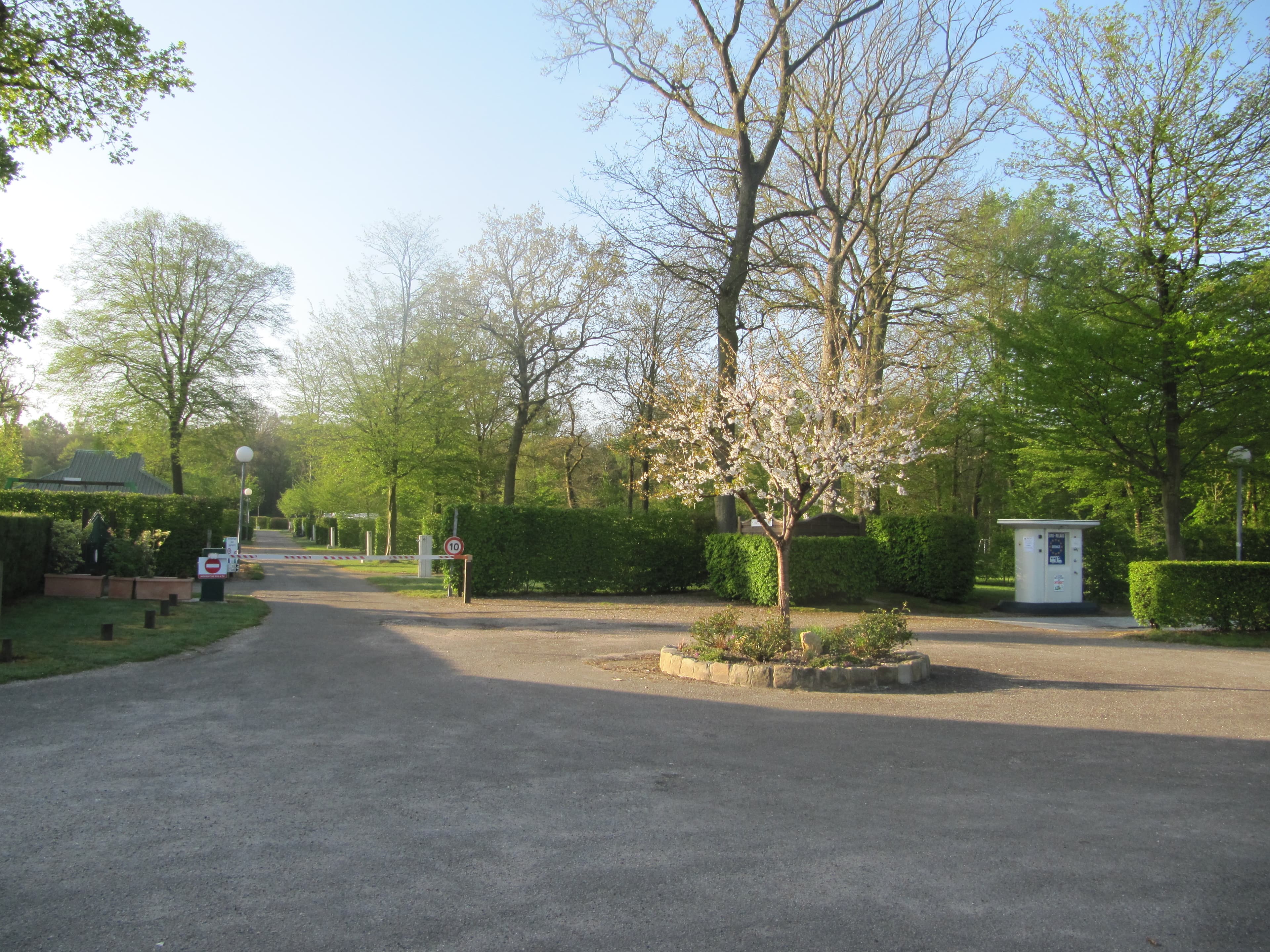 A scenery from Camping de la Forêt