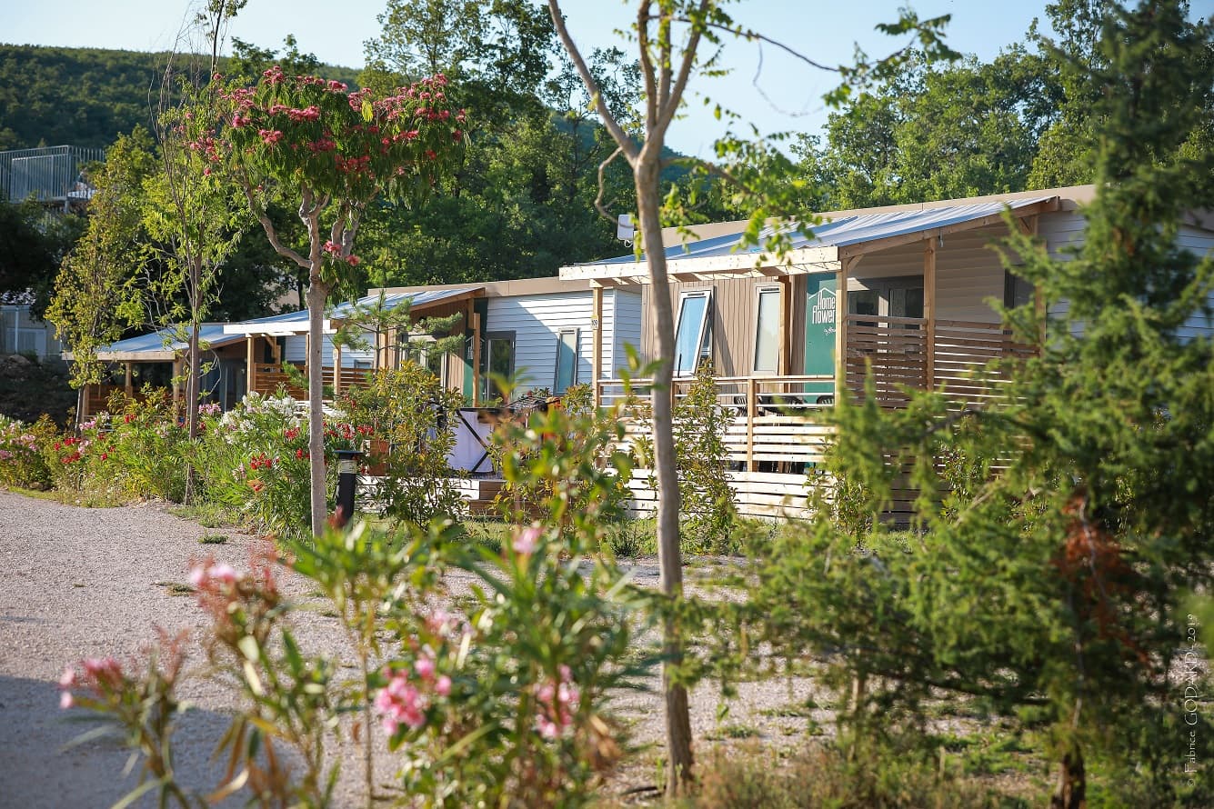 A scenery from Flower Camping l'Epi Bleu