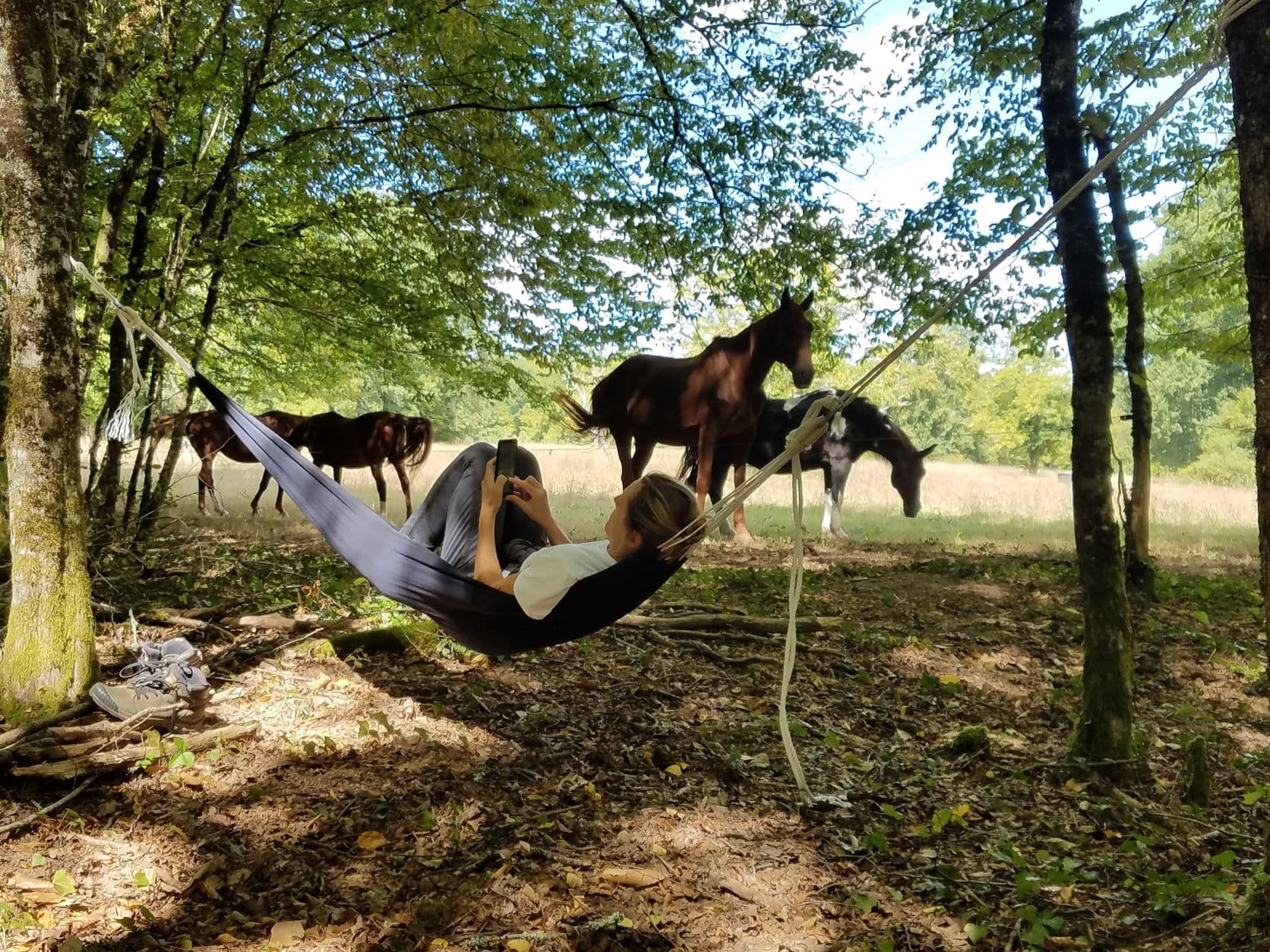 A scenery from Camping Les Tourterelles