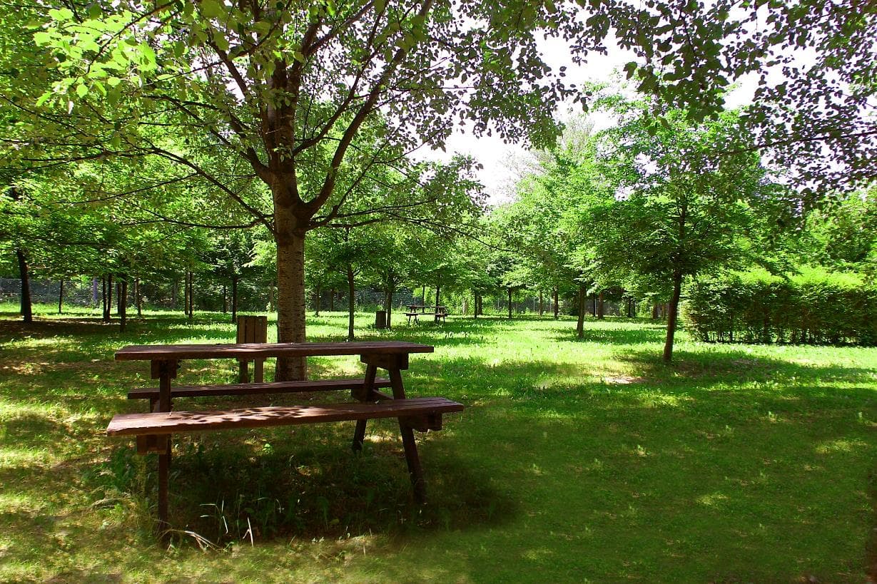 A scenery from Club del Sole Bologna Easy Camping Village