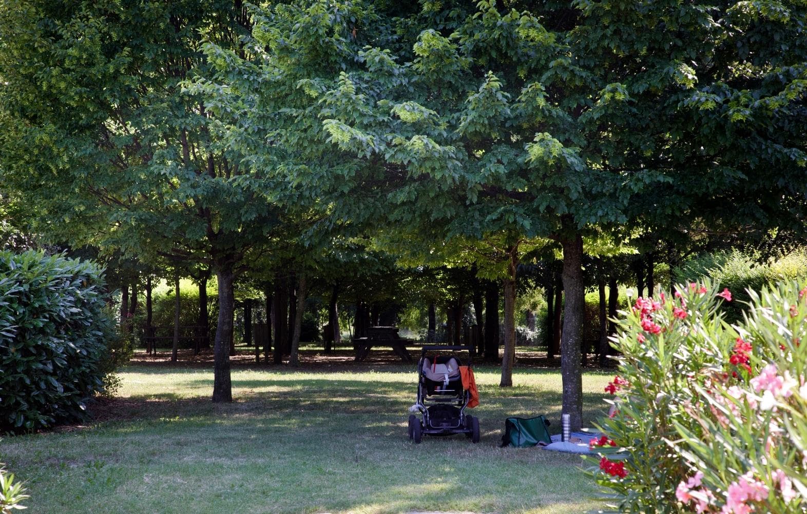 A scenery from Club del Sole Bologna Easy Camping Village