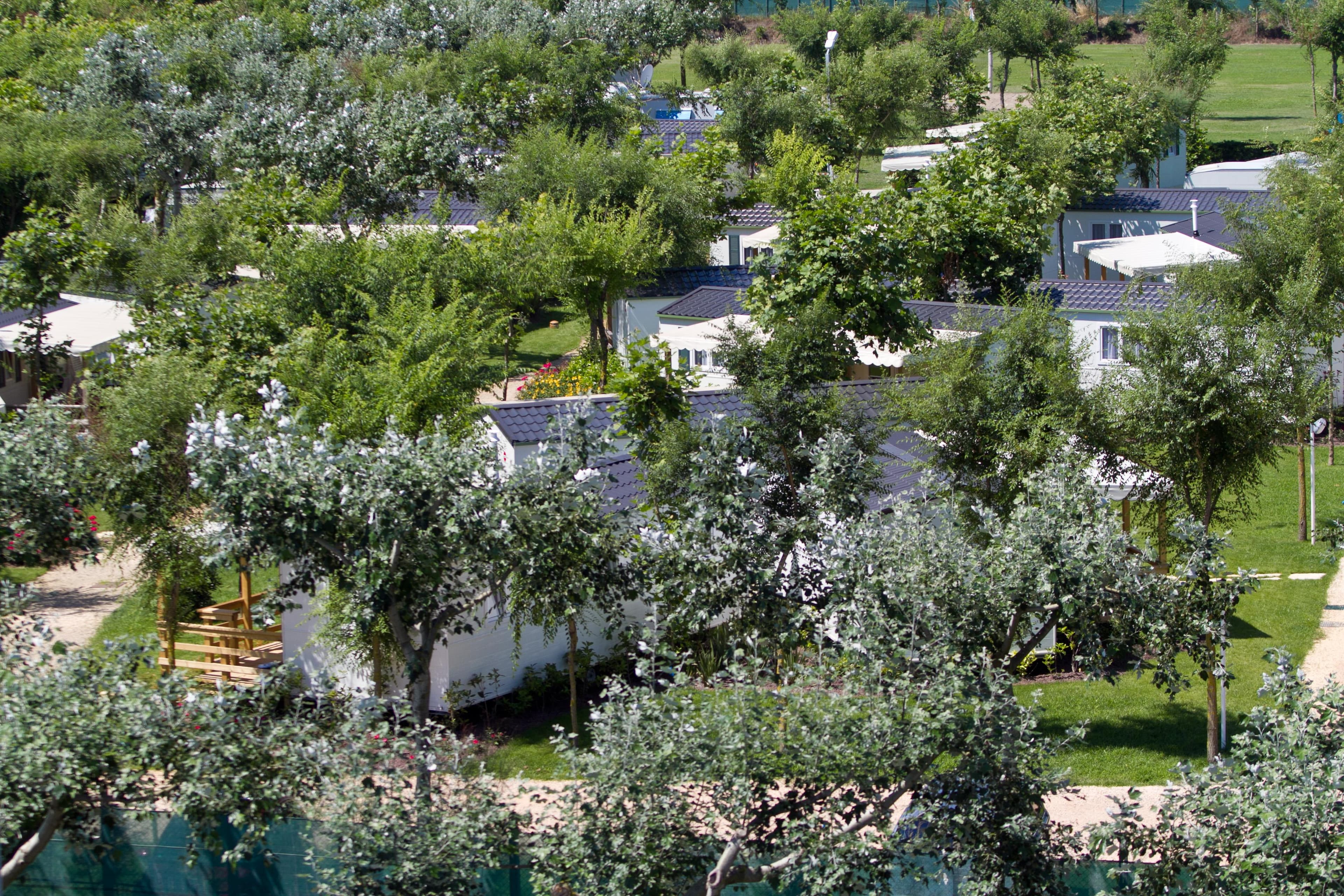 A scenery from Miramare Camping Village