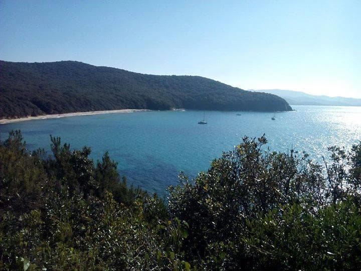 A scenery from Village Camping il Fontino