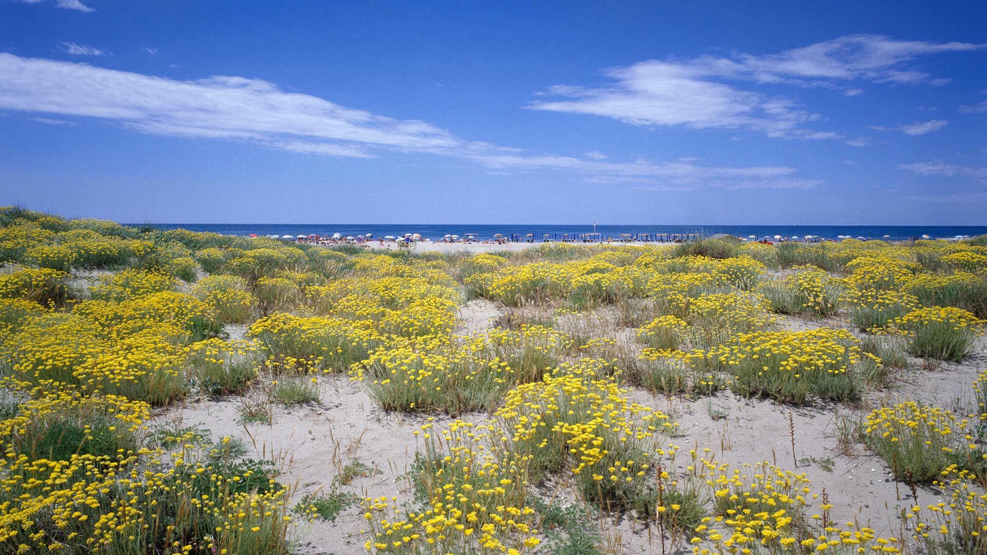 A scenery from Campeggio Europa