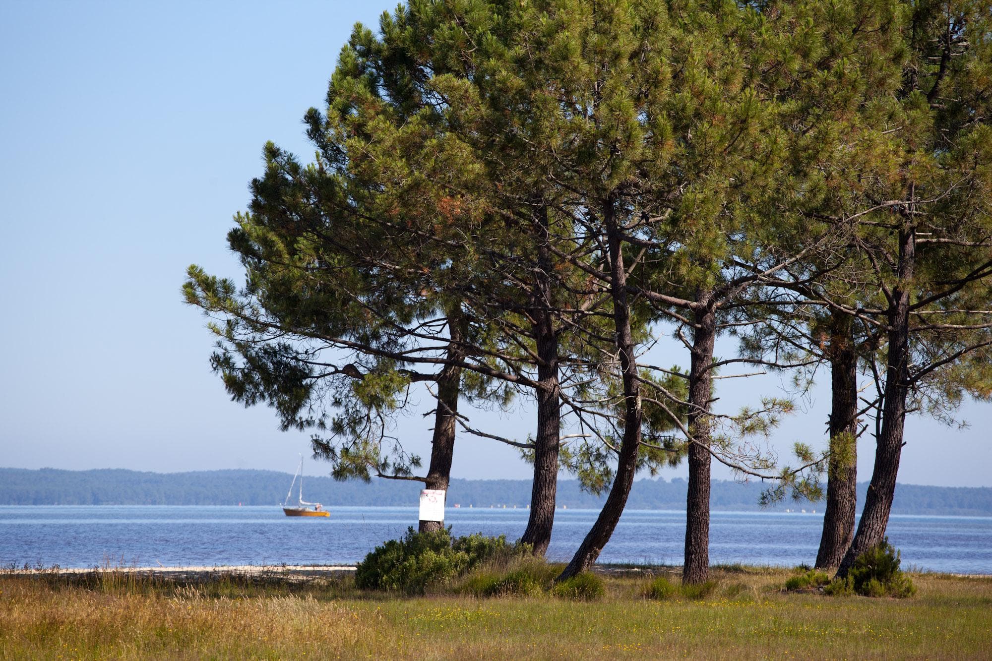 A scenery from Camping Homair - Mayotte Vacances