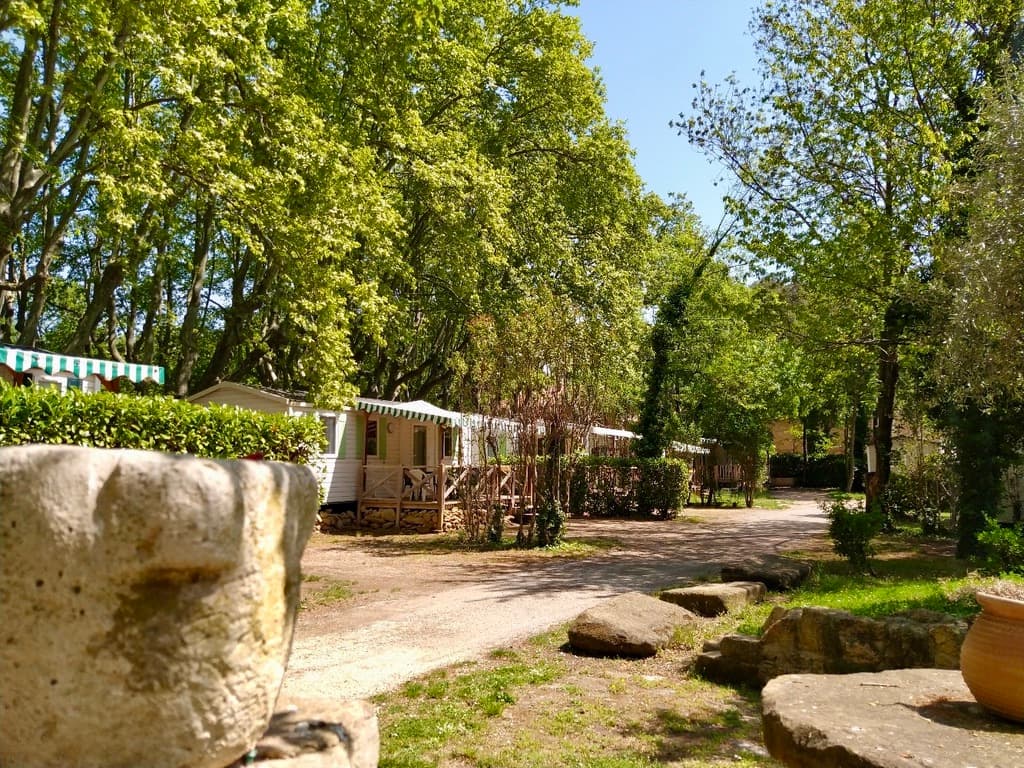 A scenery from Camping Nostradamus