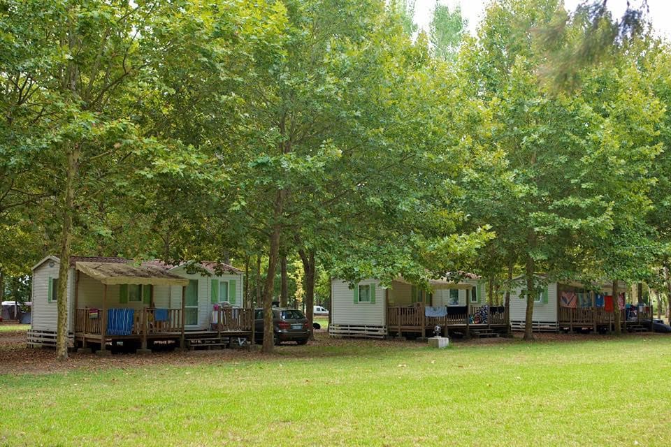 A scenery from Camping U Casone