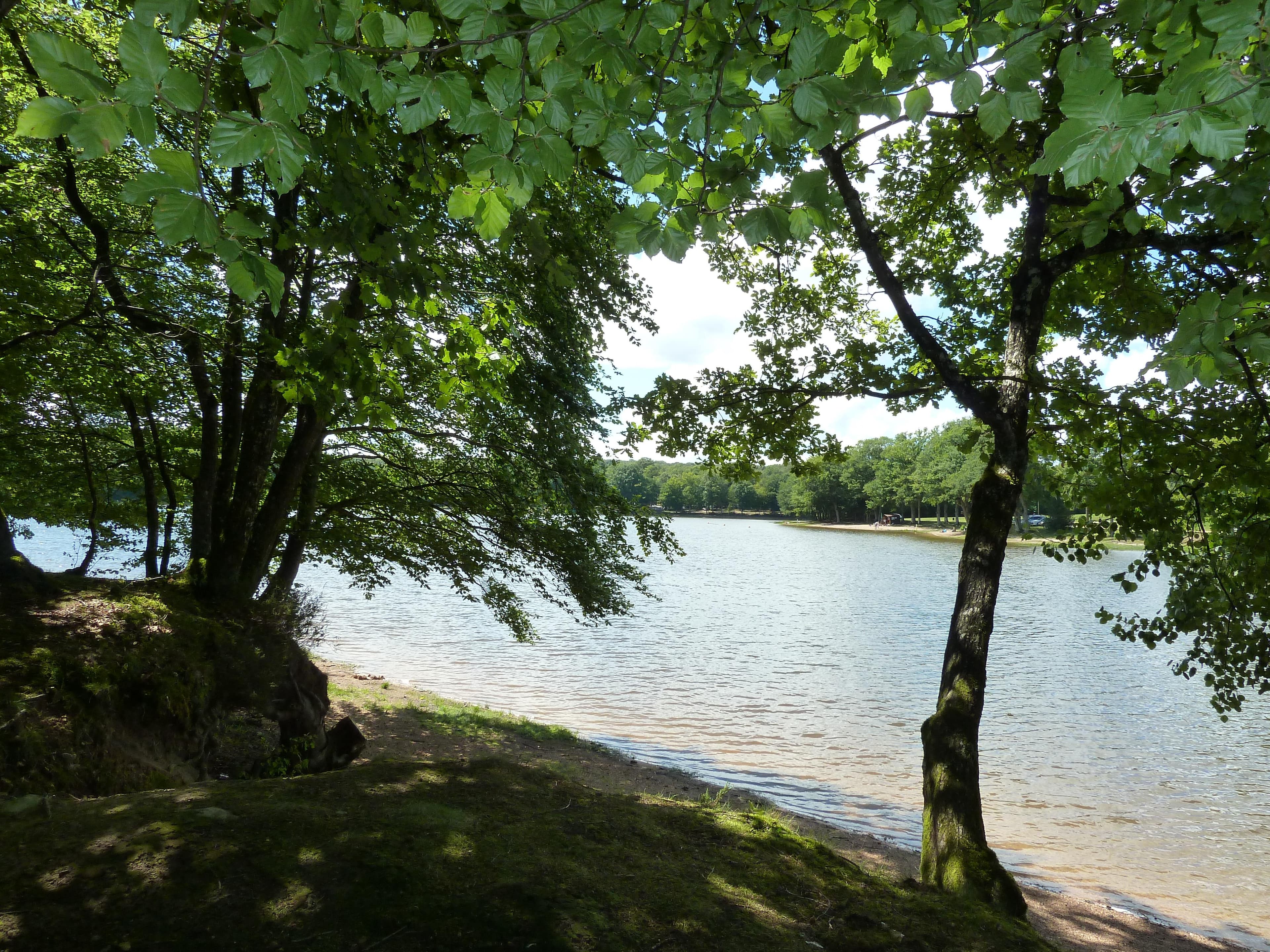 A scenery from Camping de L'Etang du Merle
