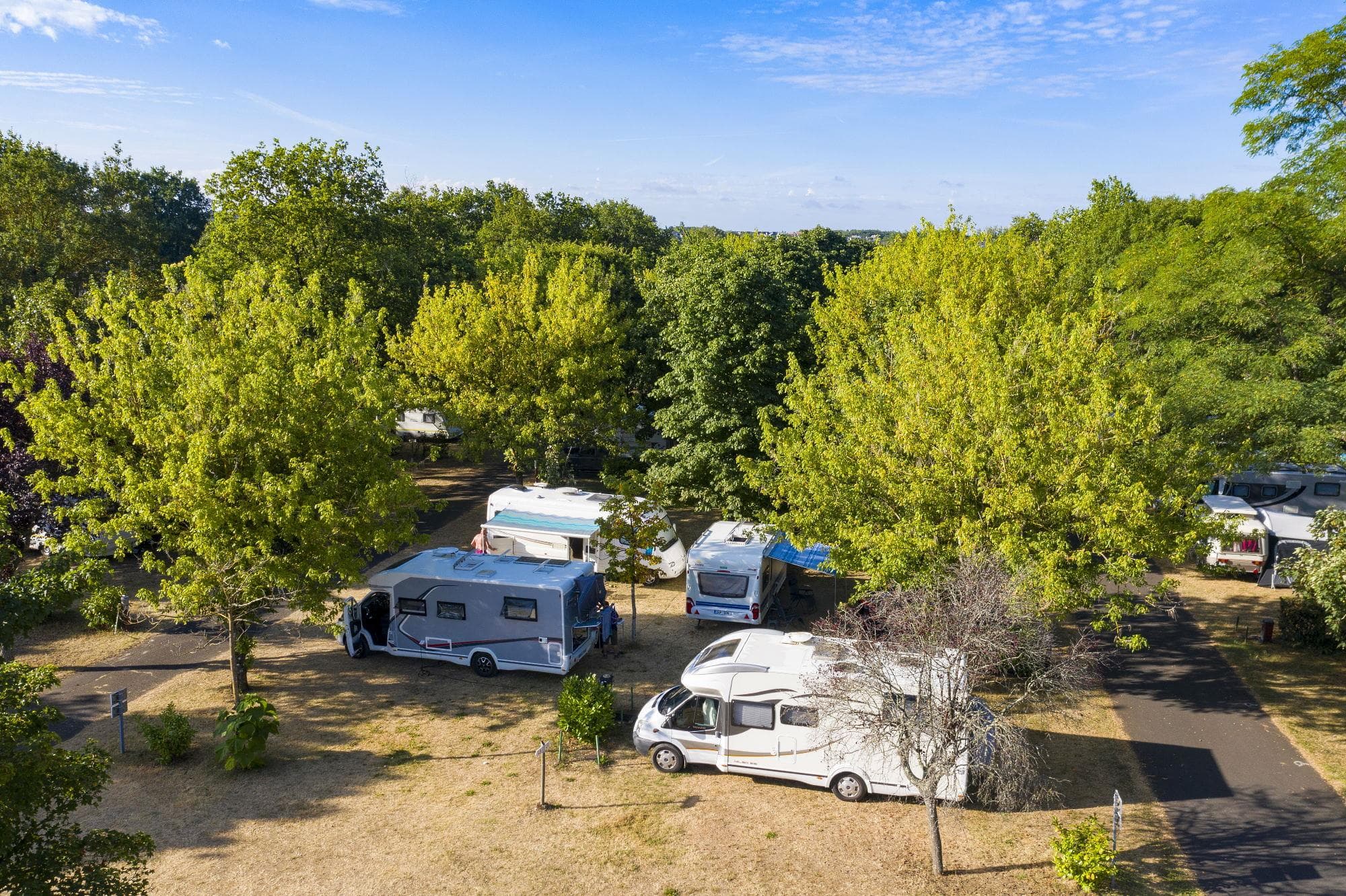 A scenery from Camping de Montlouis-sur-Loire