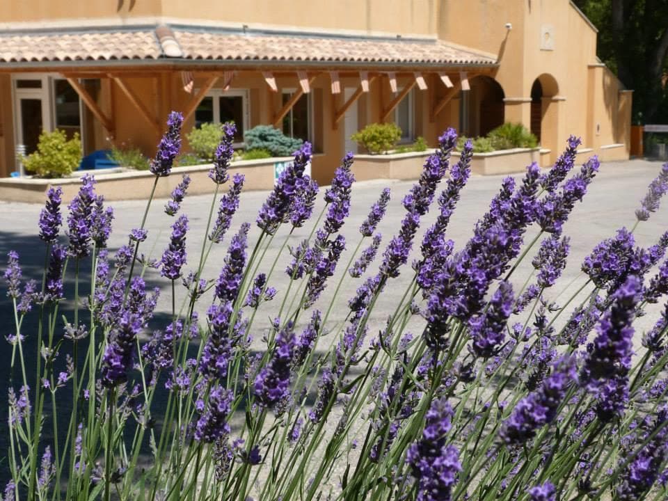 A scenery from CAMPING LES CLOS
