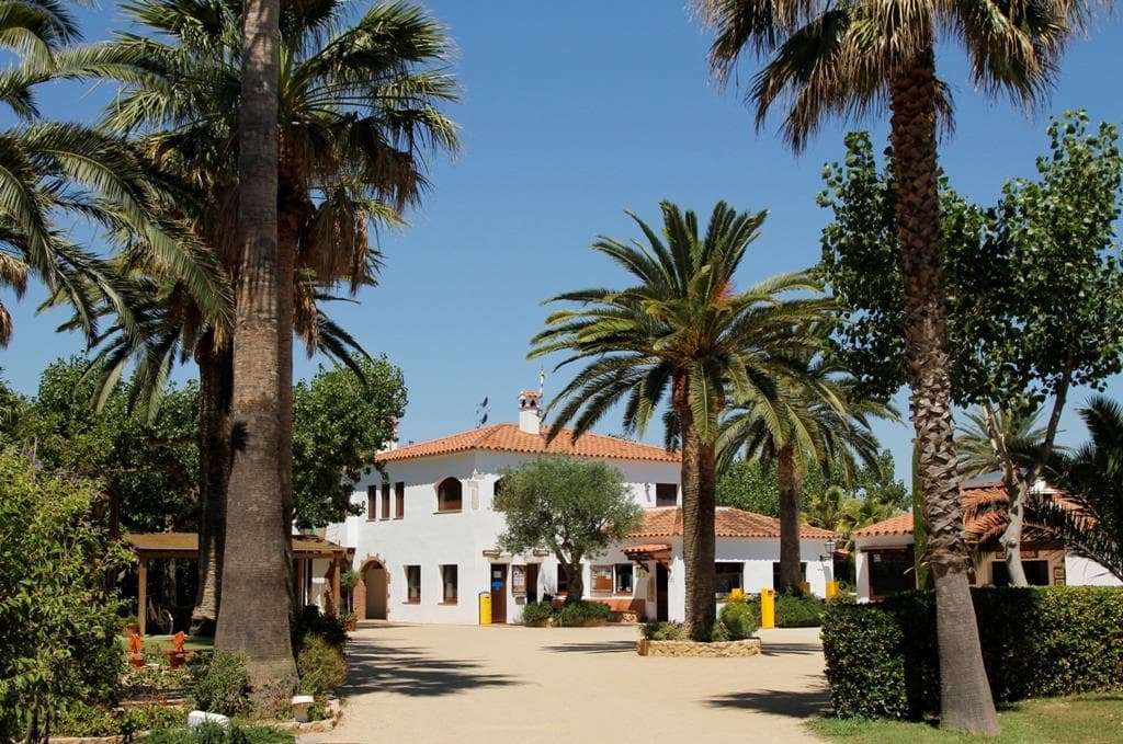 A scenery from CAMPING LAS PALMERAS