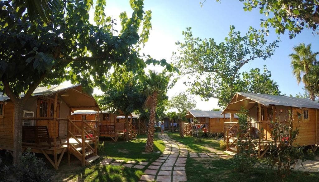 A scenery from CAMPING LAS PALMERAS