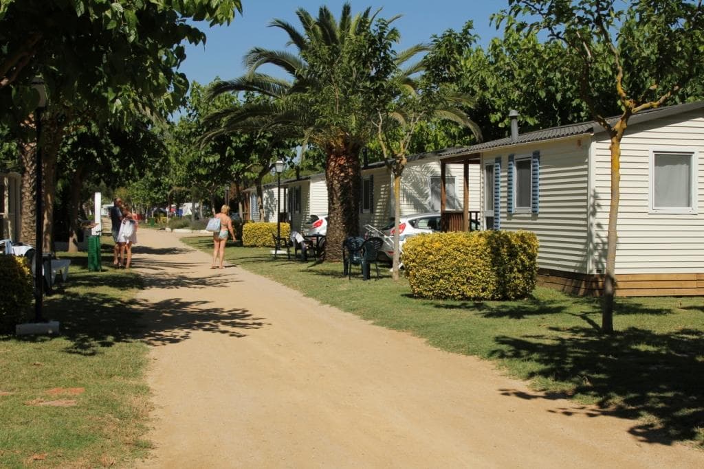 A scenery from CAMPING LAS PALMERAS