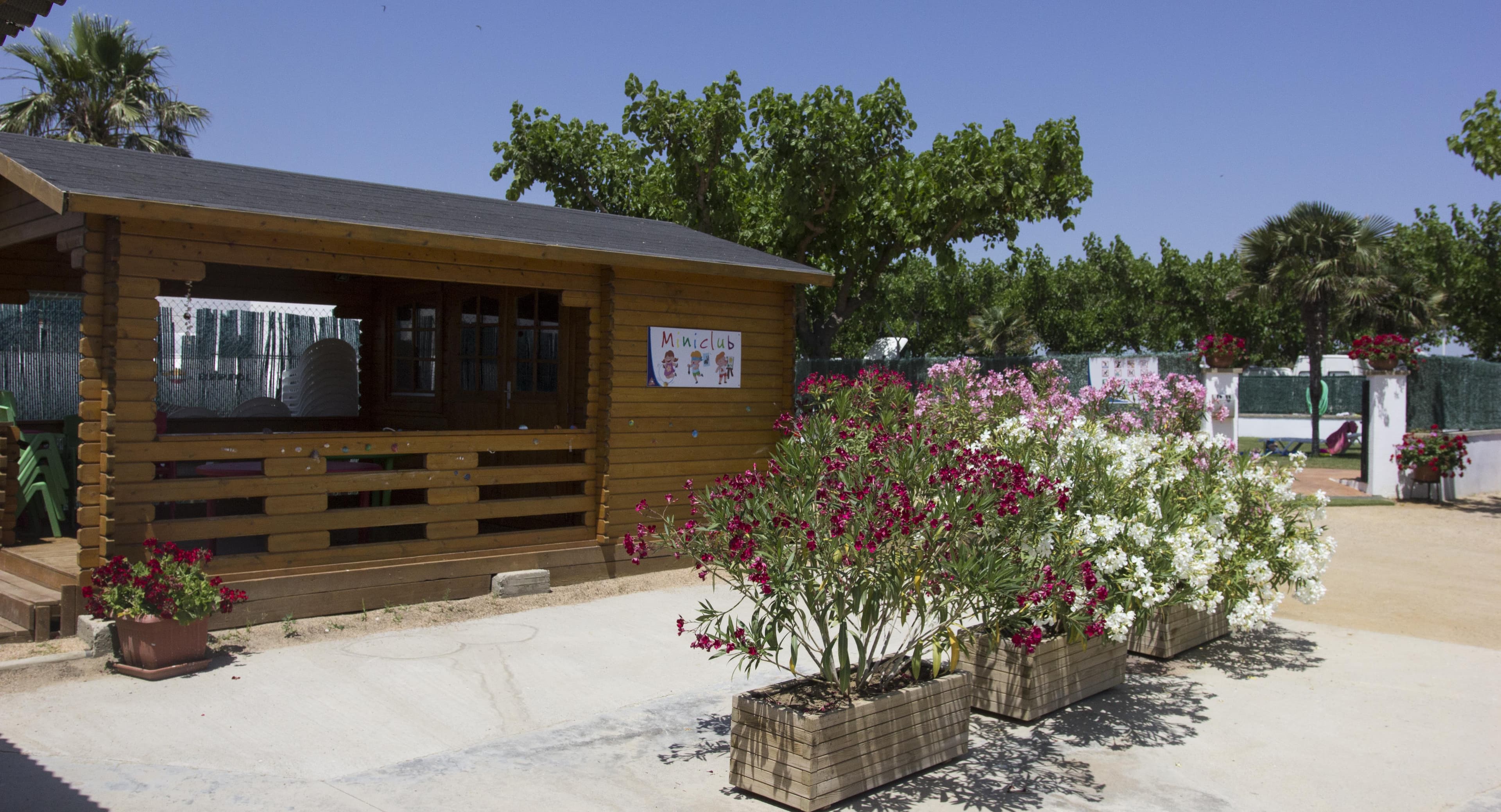 A scenery from CAMPING LA GAVIOTA