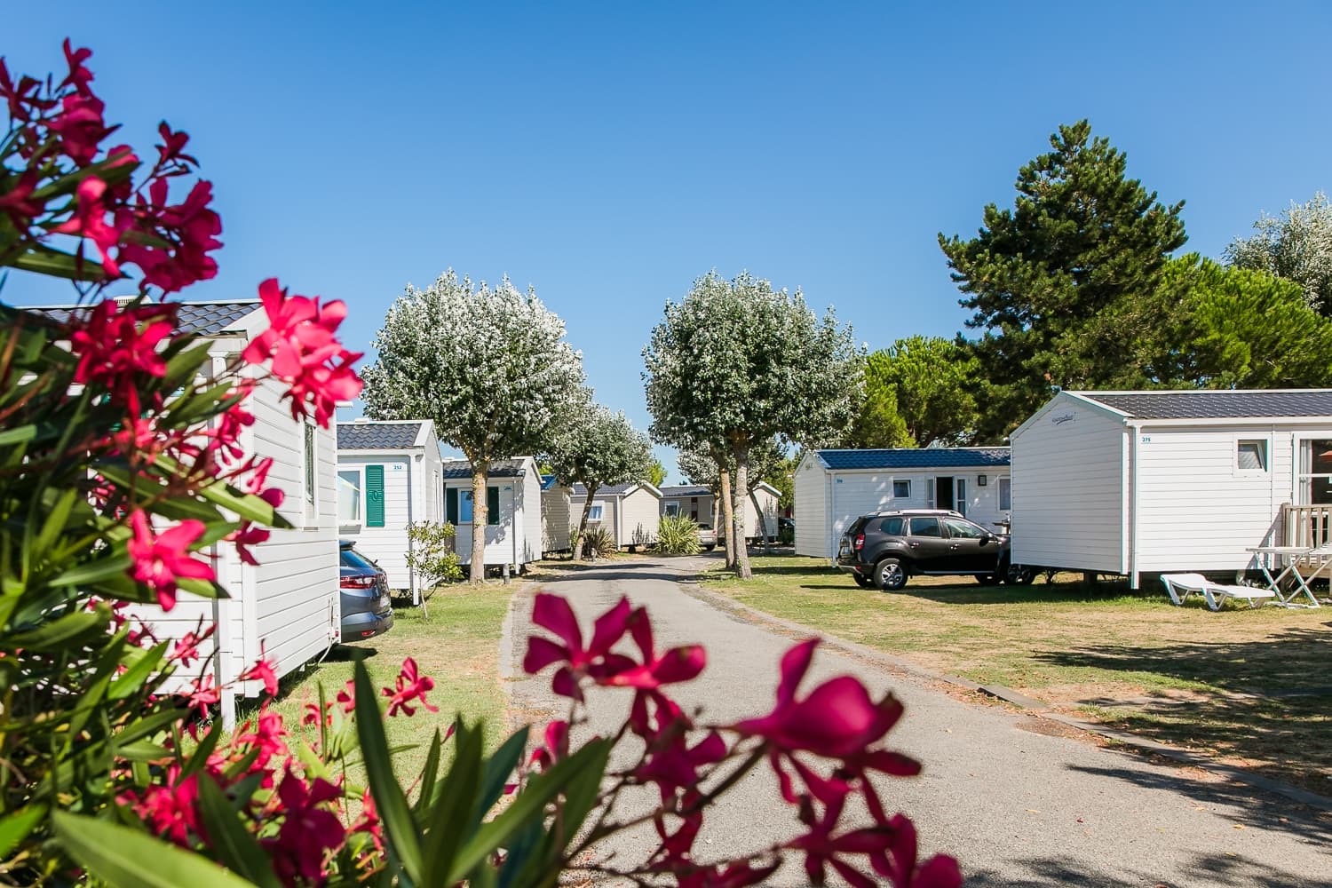 A scenery from Camping Eden Villages L'Océan & Spa