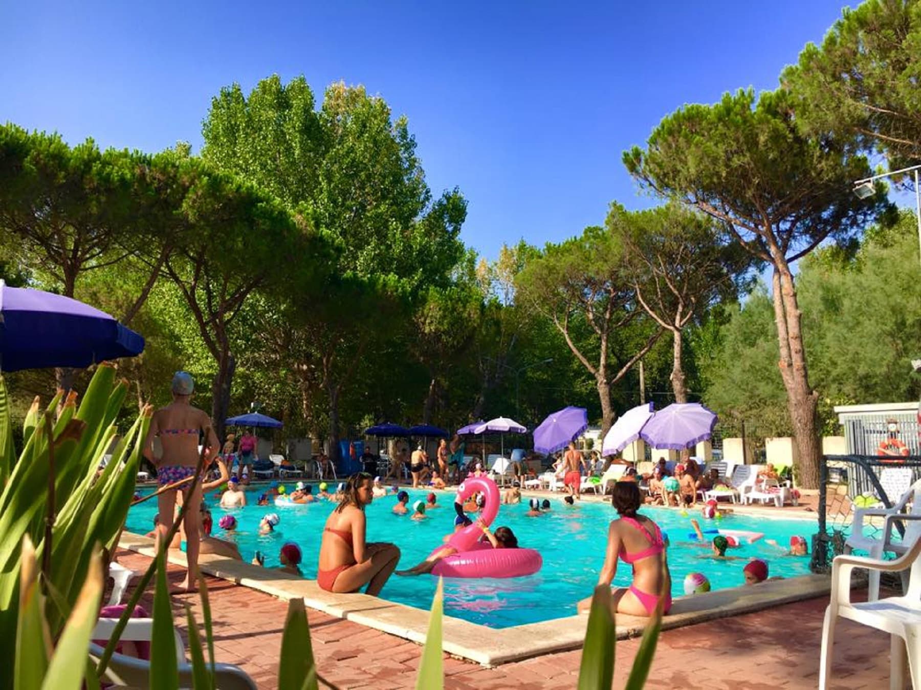 A scenery from Camping Village Punta Navaccia