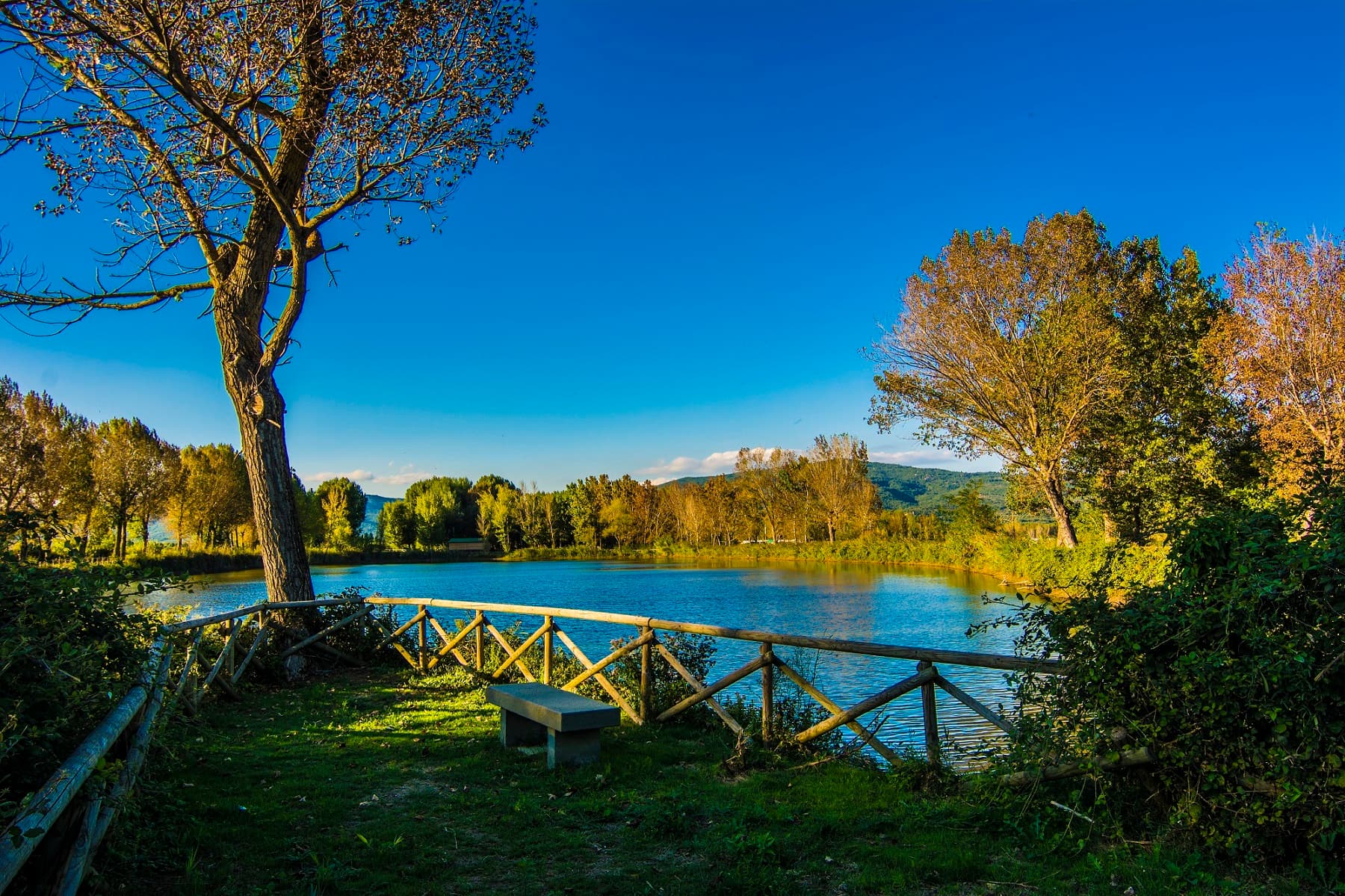A scenery from Camping Village Punta Navaccia