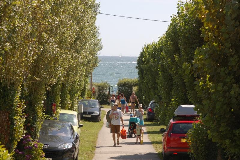 A scenery from Camping Les Saules